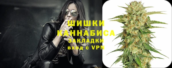 ГАЛЛЮЦИНОГЕННЫЕ ГРИБЫ Балабаново