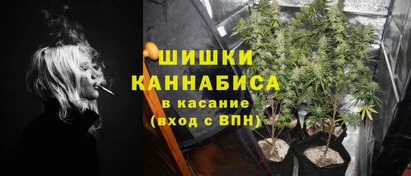ГАЛЛЮЦИНОГЕННЫЕ ГРИБЫ Балабаново