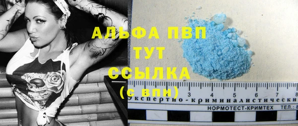 эйфоретик Баксан